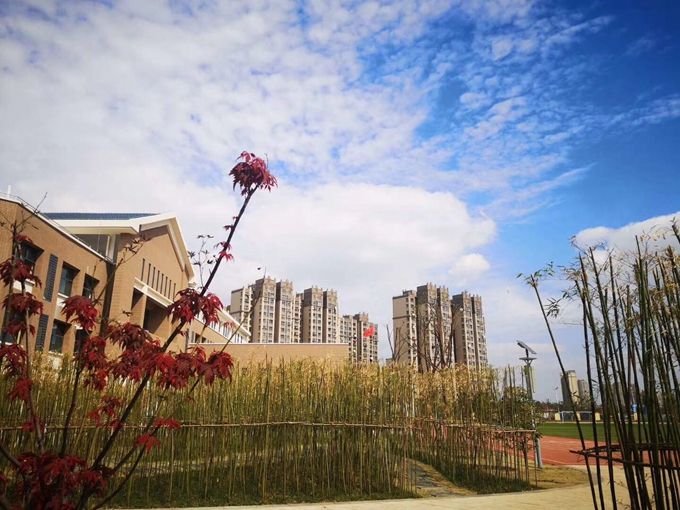 南京博天堂集团建设集团
